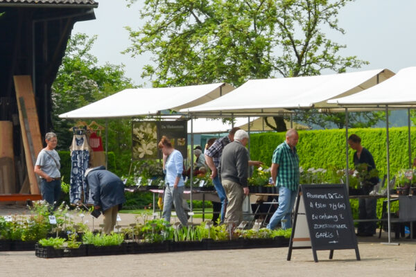 Meimarkt De Boschhoeve