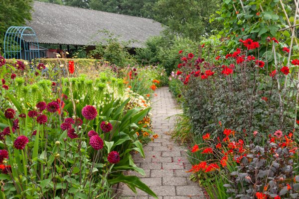 Dahliaspektakel in De Boschhoeve, Wolfheze