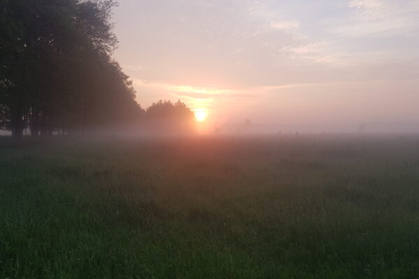 Midzomerwandeling