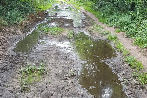 Het in slechte staat verkerende pad langs het spoor na de werkzaamheden.